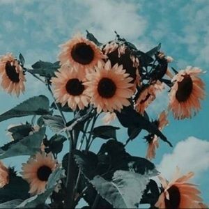 Meet your Posher, Jean